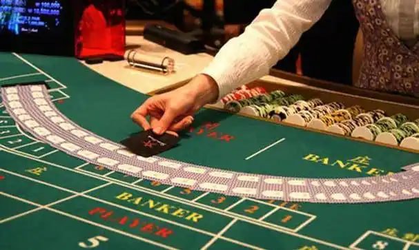 5588 bet